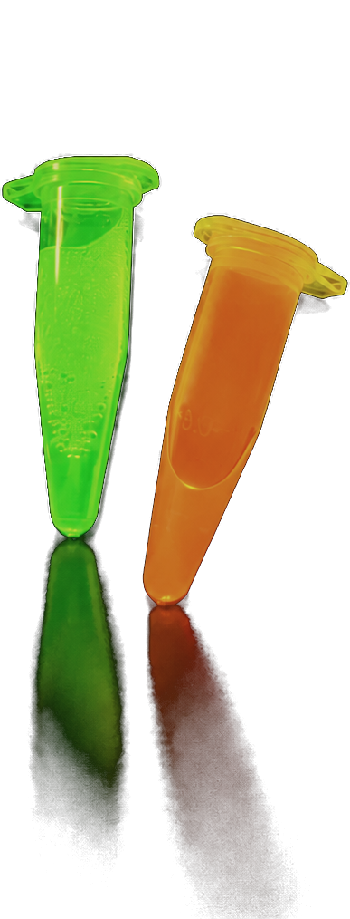 Green and orange fluorescent protein samples glowing against a black background