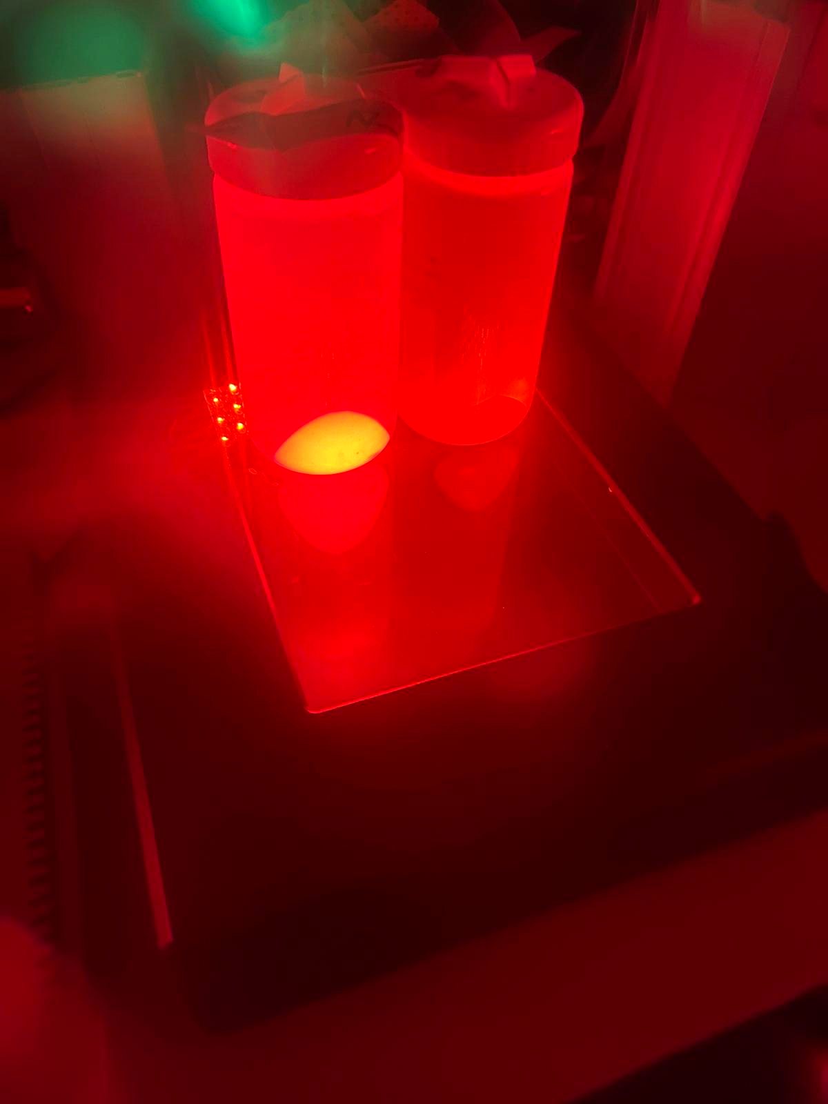 Tubes of red fluorescent protein glowing on a red transilluminator